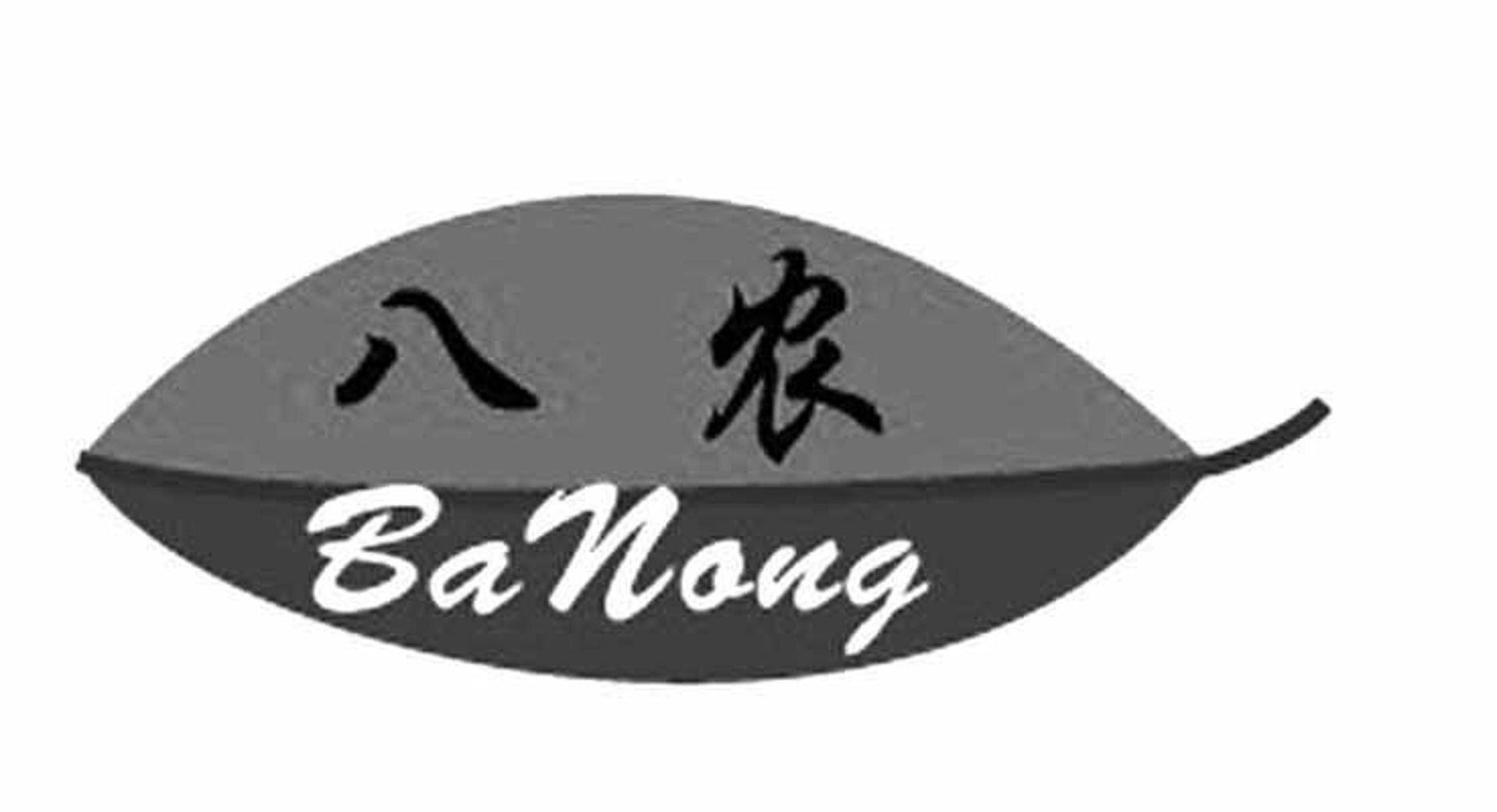 闽牛乳业